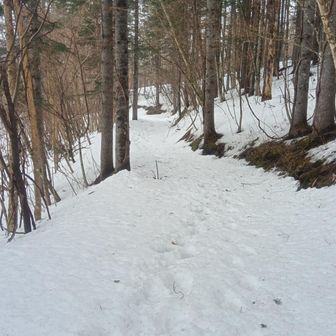だが短距離だからスノーシュー必要ない