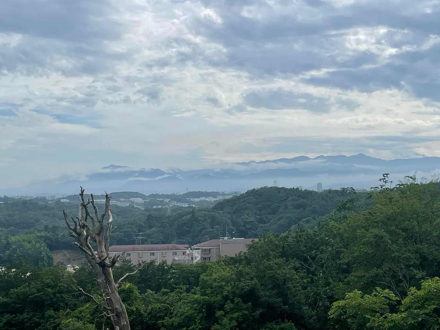 丹沢山系。左に大山も見えます！👀。
