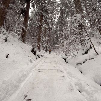隋神門へ最後の登り…
ツルツルの滑り台😅