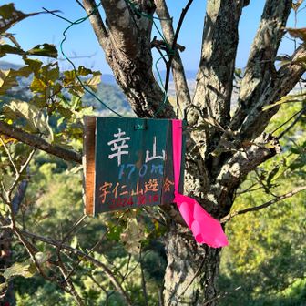 幸山