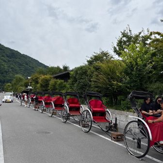 ずらりと並ぶ人力車