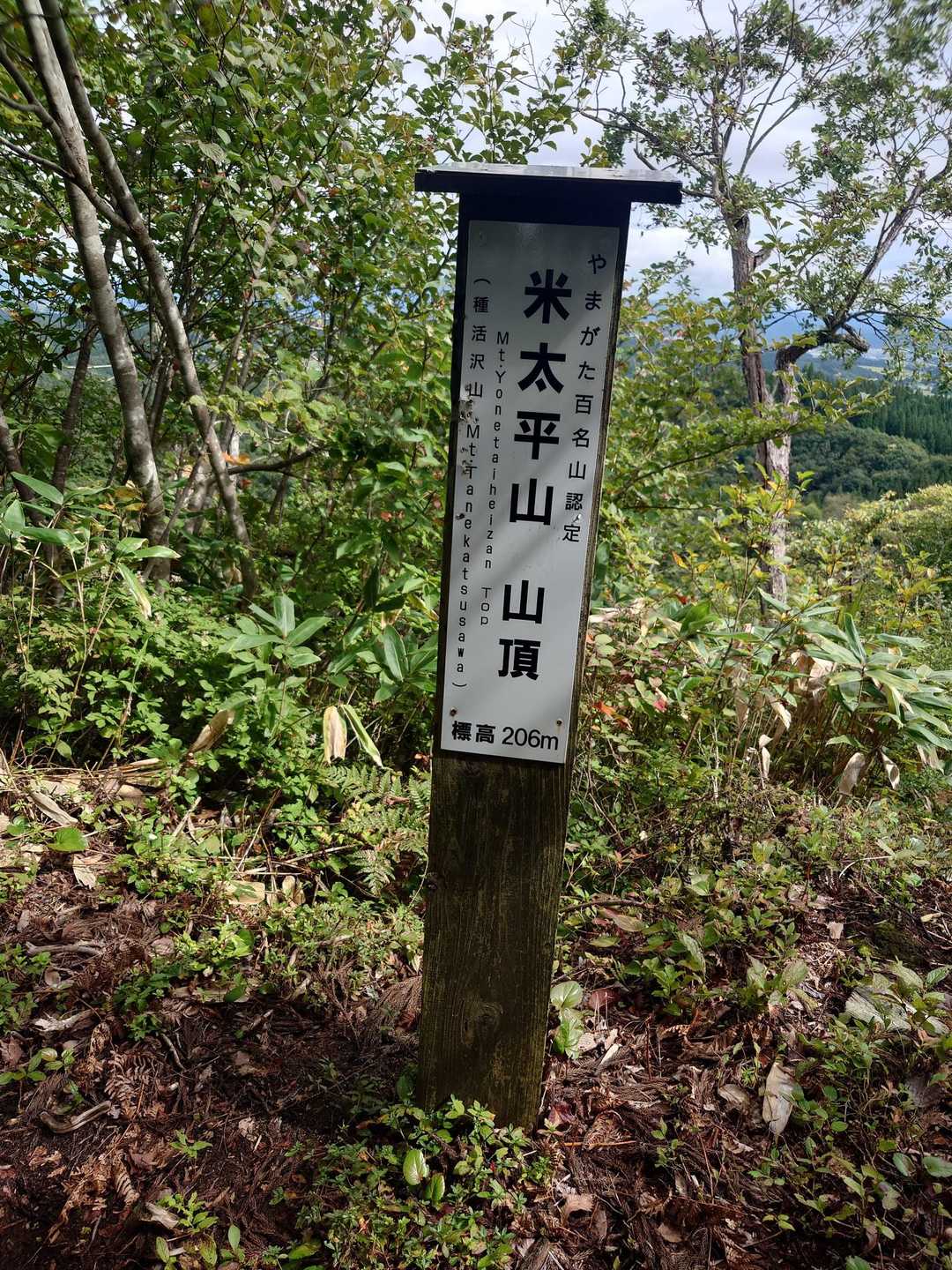 山頂。