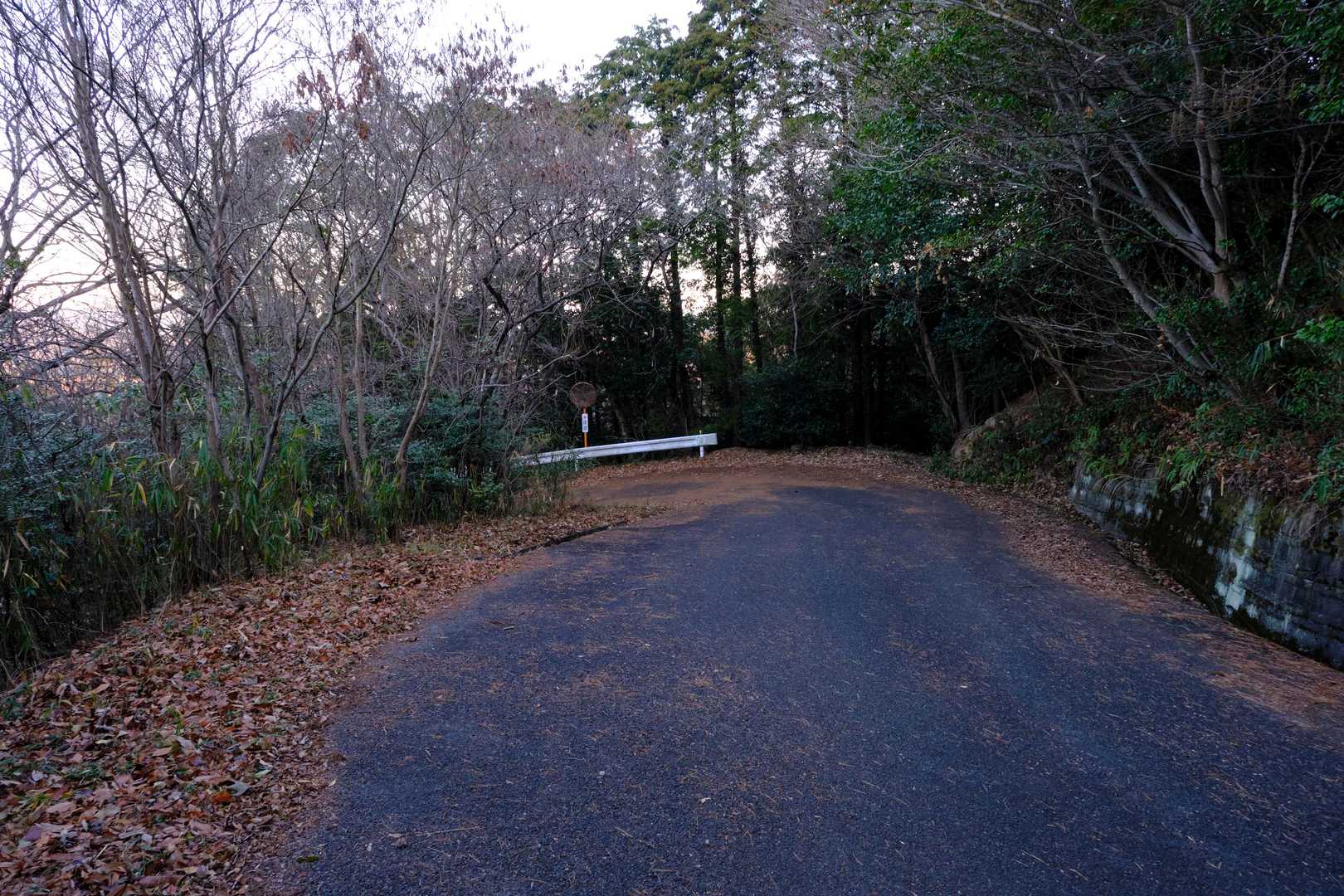 山頂と『鳥ノ江峠』を結ぶ林道は非常に狭く、また急カーブも連続する。特に日が昇る前に車両で通行する場合は、運転に慎重を期す必要がありそうだ。