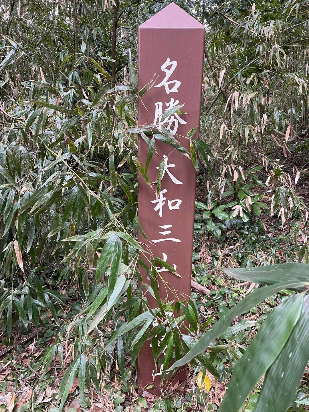 下山しました😊
今年も畝傍山登れました(๑>◡<๑)💕
一昨年よりも去年、去年よりも今年どんどん自分の世界が広がって楽しみが増えました💖
今年も山⛰楽しんで行くんで、また1年宜しくお願いしま〜す🥰