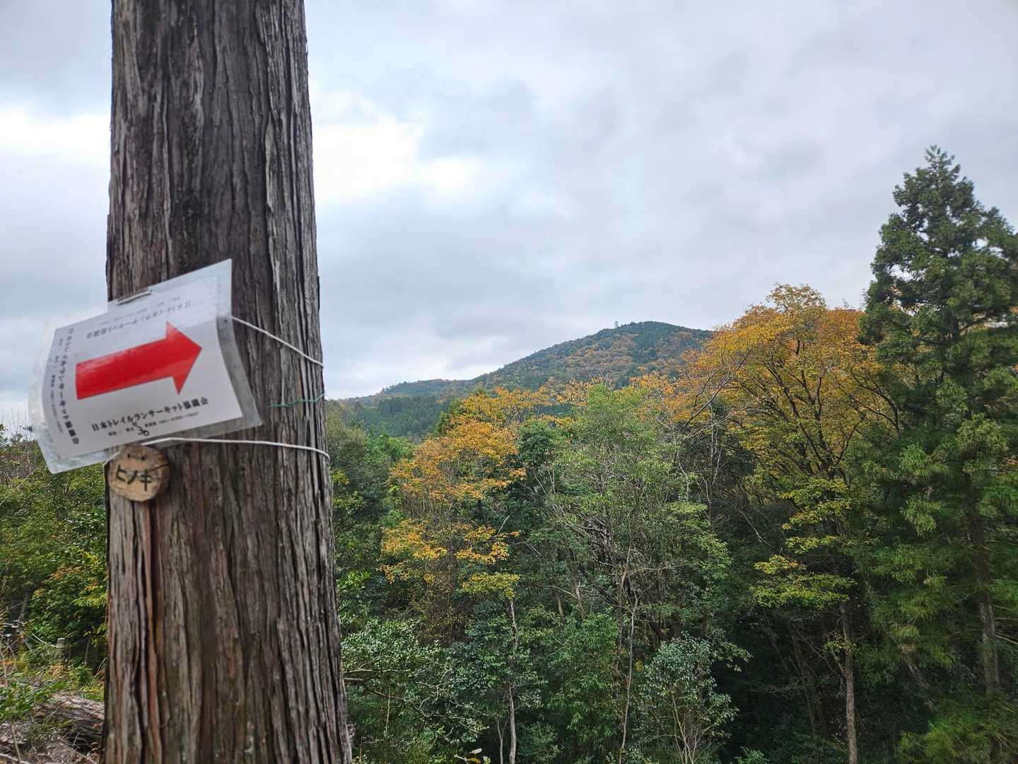 六所山を下山し、次はあちらに見える炮烙山を目指します 🏃‍♀️𓂃💦