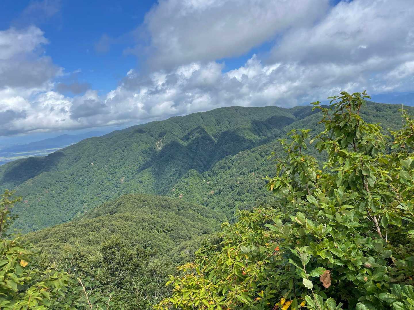 暑い☀️☀️