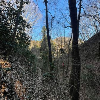 落ち葉が堆積したトレースを東へ

沢に降りていきます

