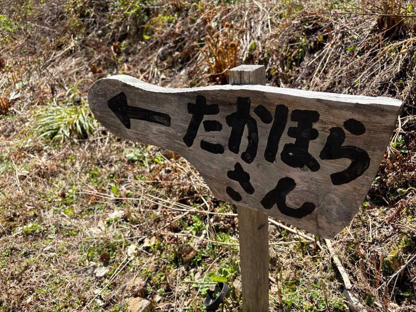 たかほらさん←