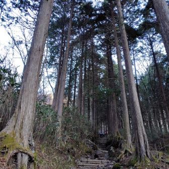 途中まで公時神社奥ノ院への山道を歩く💡