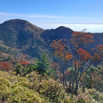 鶏頂山から釈迦ヶ岳