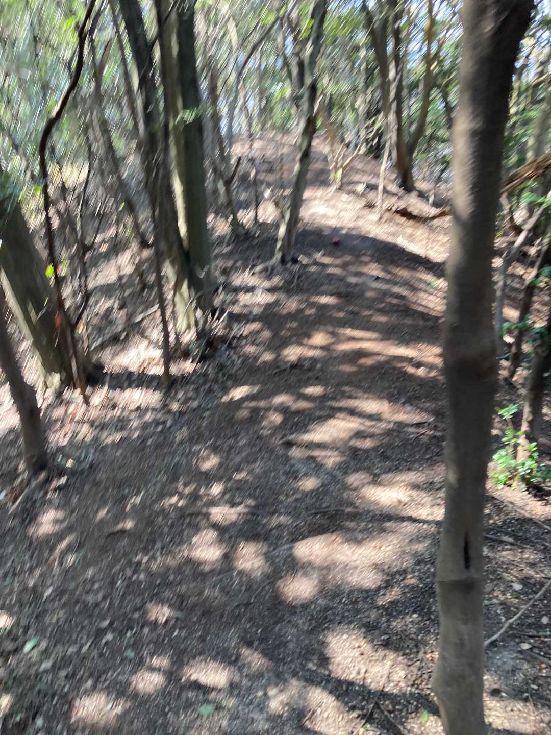 夏でも涼しそうです
