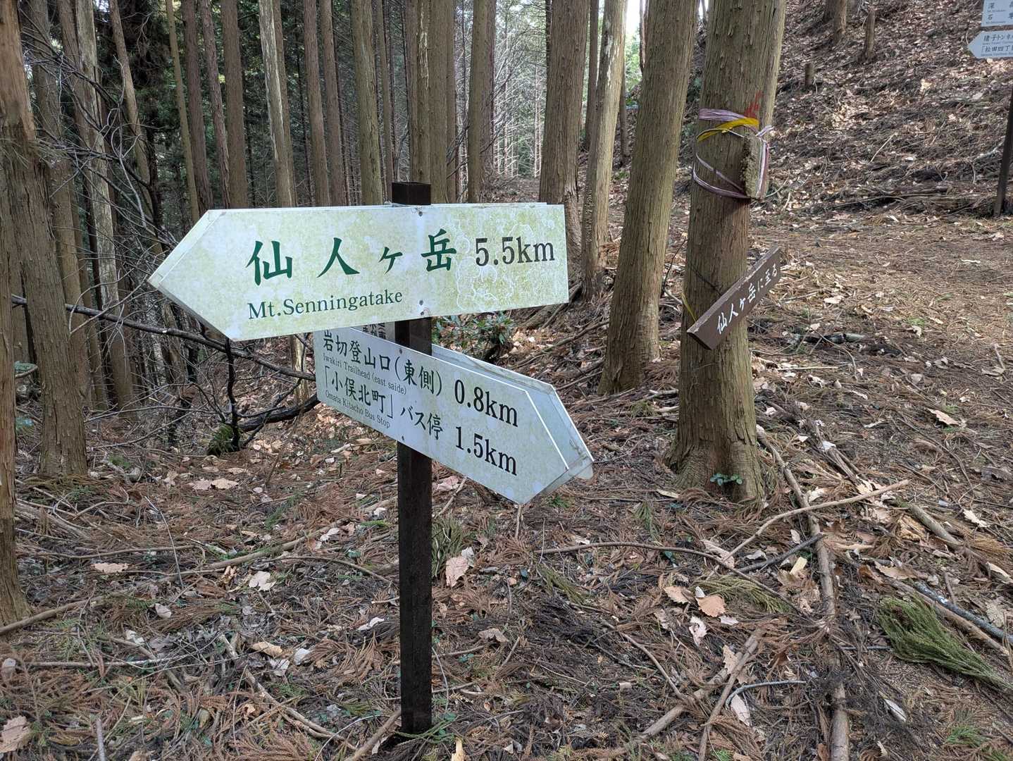 あと1.5km!!