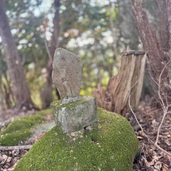 仏様でない石仏も多い