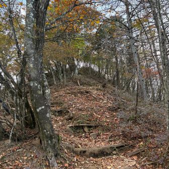 もう一度、滝子山の山頂への上り返しです