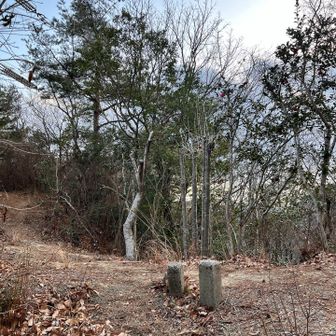 ここまで恐ろしく枯葉が堆積しまくりの激下りに急登を越えて、ようやく開けた場所に😅