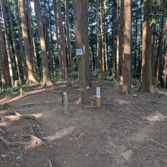 もう、こっちは下らず正規コースへ