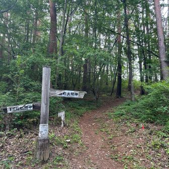 家からこの登山口まで歩いて1時間🚶‍♂️