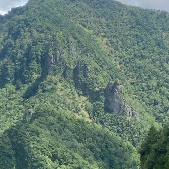 疲れていたせいか中腹の岩が座っているネコに見えた
