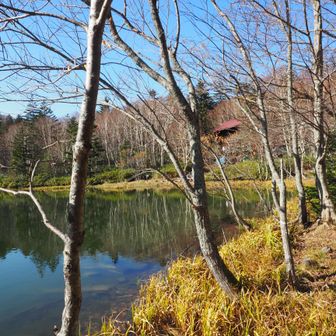 のどかな晩秋の風景