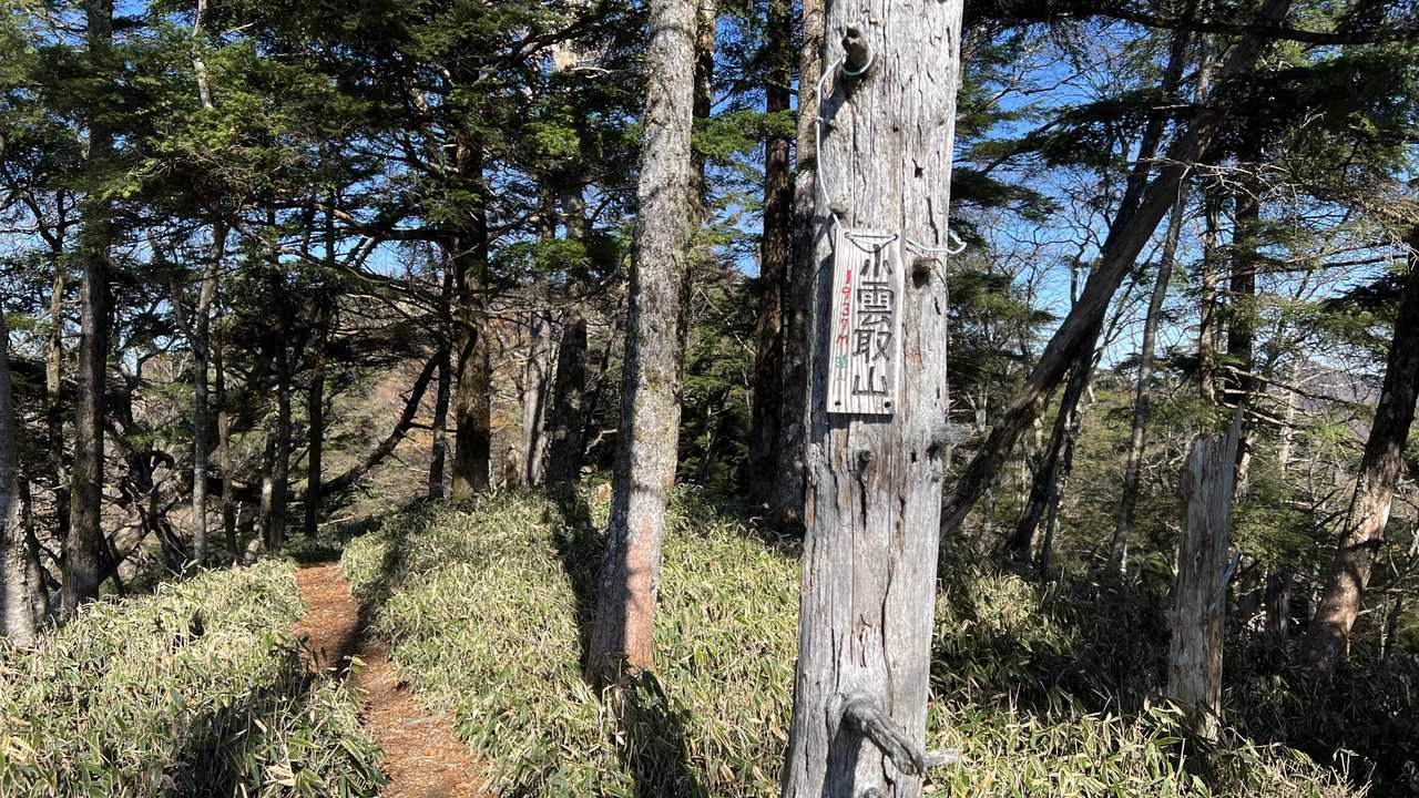 奥多摩テント泊縦走（鴨沢〜七ッ石小屋〜雲取山〜三峯神社） の写真 32
