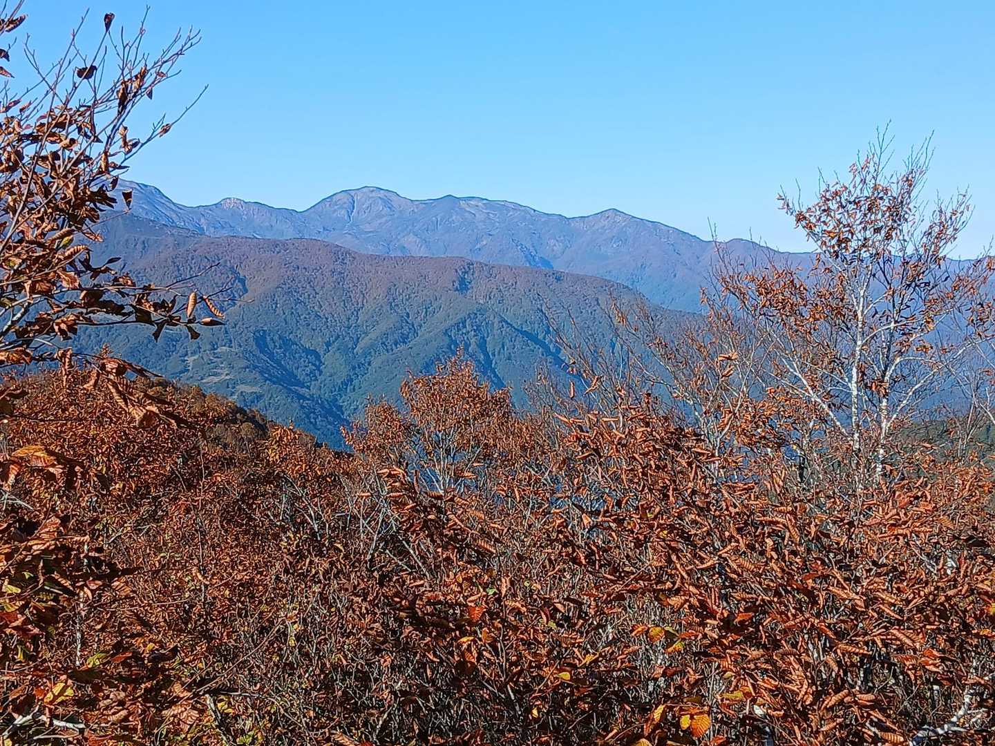 紅葉越しに雪倉岳方面🍁
今年行けなかったな😭