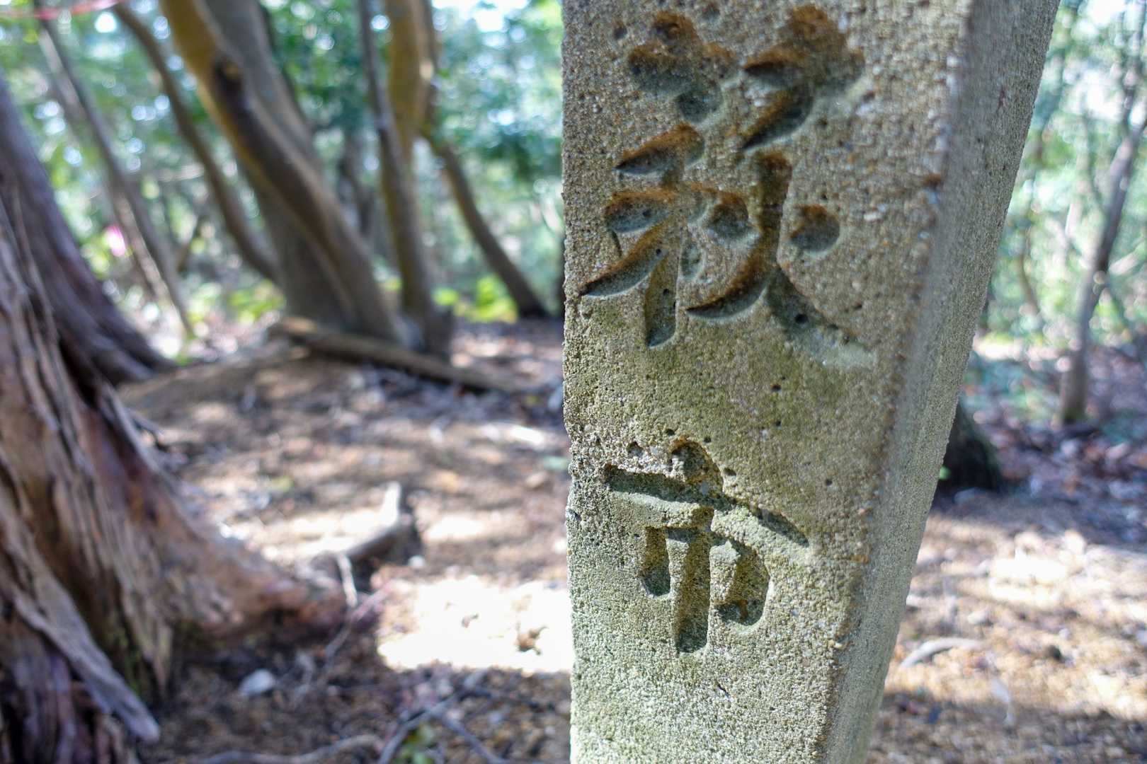 天頂山山頂。
展望なし。
近くに同じ名前を持つ山が２つあるって不思議ですよね。