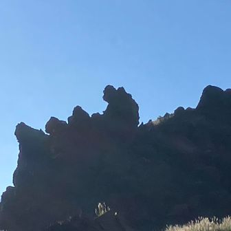 ゴリラ岩