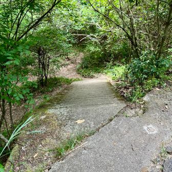 20分ぐらいで入渓地点に到着
