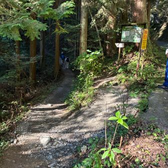 登山道入口。
ここでフリースを脱ぎました。