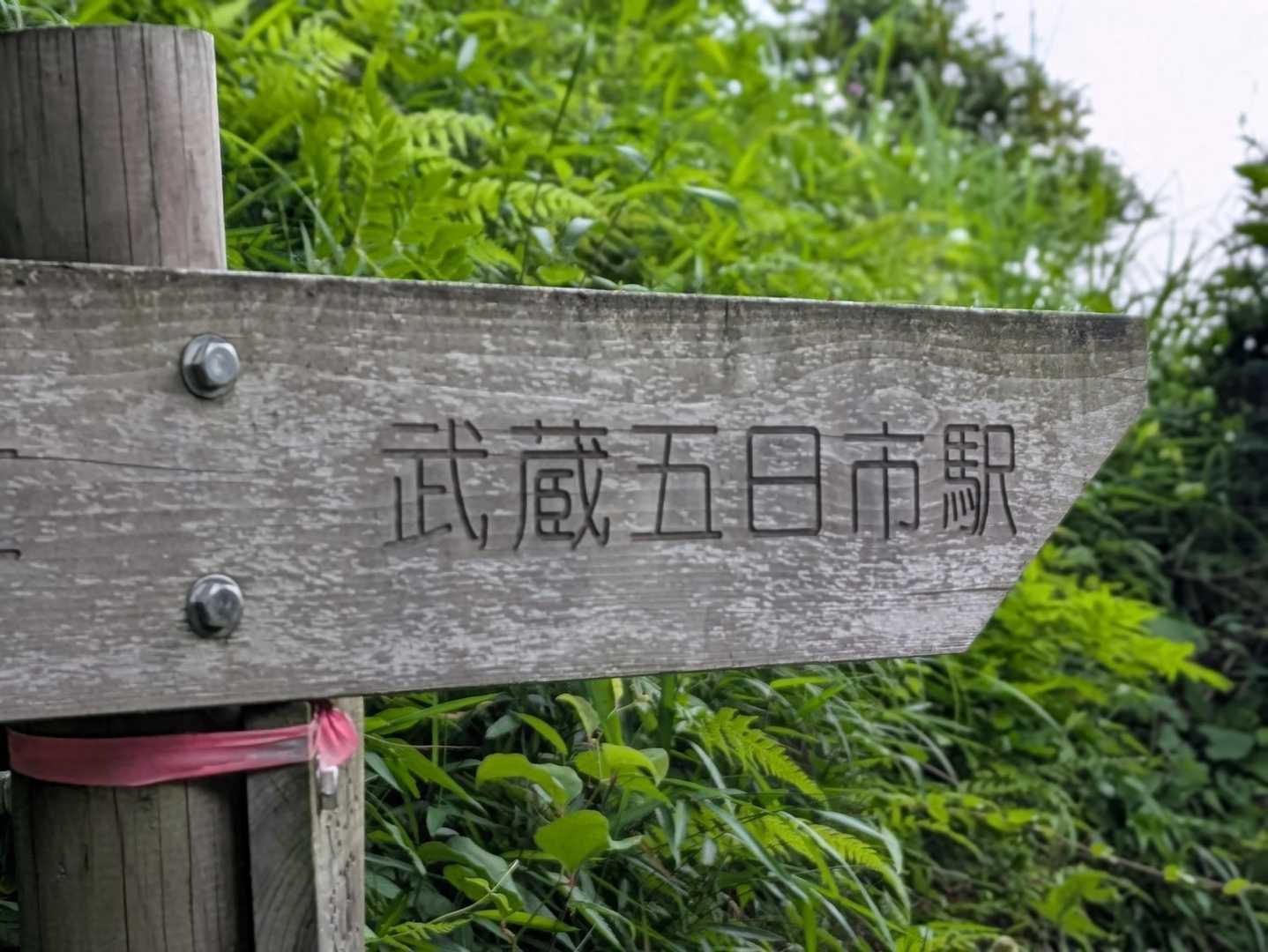 南沢あじさい山入口-南沢あじさい山入口-金比羅山-琴平神社 縦走コースの写真