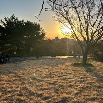 西郷山ピーク。暖かくてお昼のしている方が複数