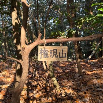写真を撮り忘れましたが、百々ヶ峰山頂から降りた東屋でお昼ご飯を食べ、集合写真を撮った後、下山開始。
権現山に寄りました。