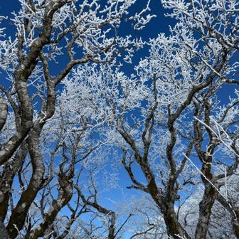 青空に霧氷、美しいー😍