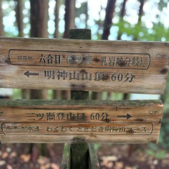 更なる
わくわくドキドキ