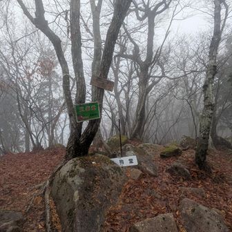 山頂！想定通り、何も見えません！