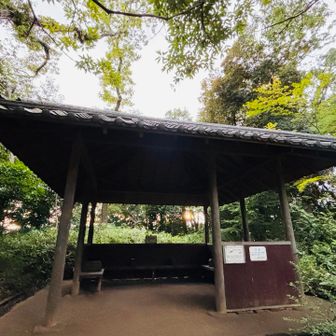 その先の東屋
右奥の天井に…
