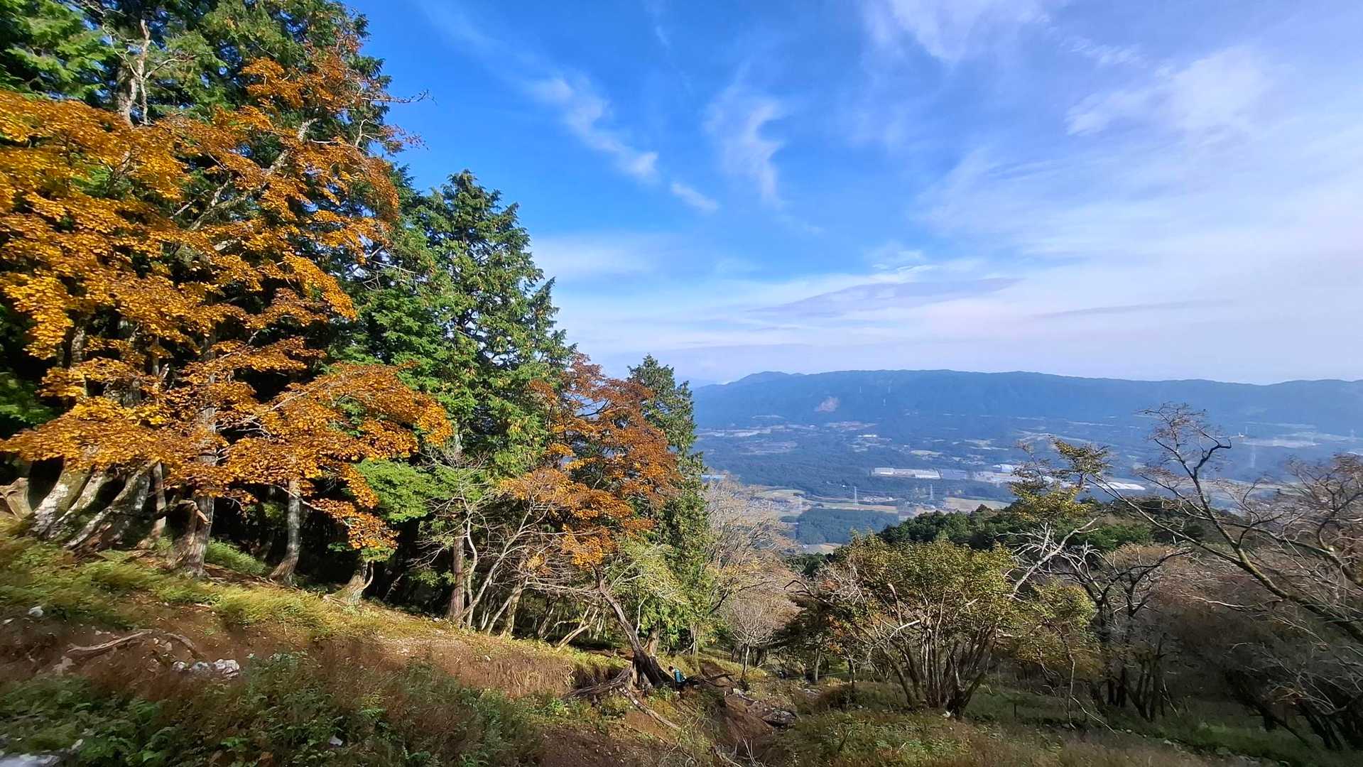 眺望ポイント！ついこの前まで暑かったけど葉っぱも色づきだしてる🍁