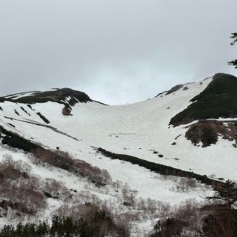 富士見沢を山荘まで滑った