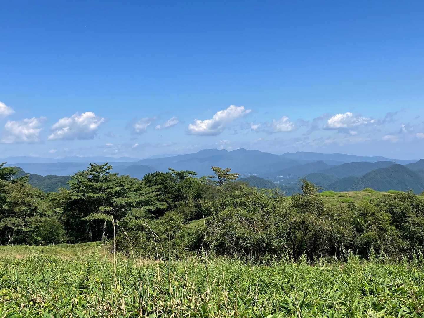 物見山 往復コースの写真