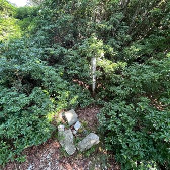 表山の山頂