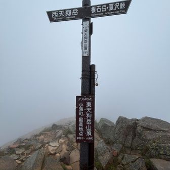 東天狗岳　山頂　視界無し