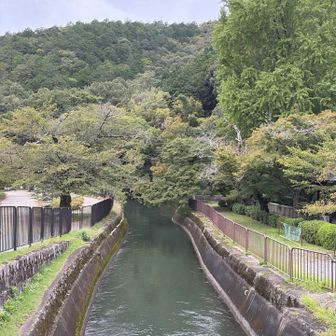 ここの眺め好きです（春は桜、秋は紅葉が美しい）