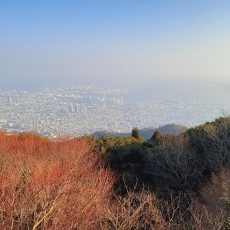 やっぱりカッスカスやん
