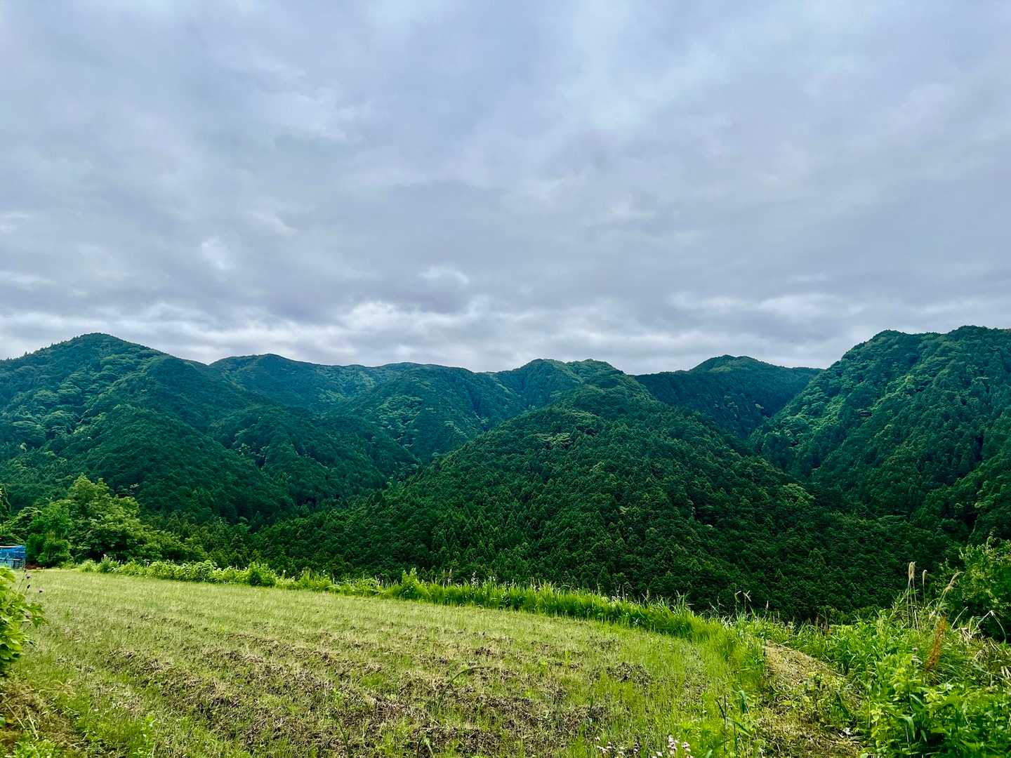 天狗谷-大和葛城山-水越峠 周回コースの写真