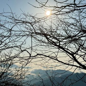 登山道横の雲海