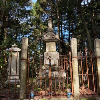 中川清英の墓。
豊臣方で勝ってるのに死んだ可哀想な人。
茨木の城主だったのに、駆り出されてこんな所で死ぬなんて…