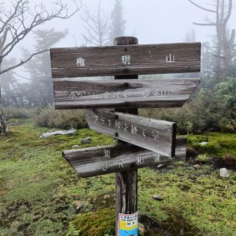 権現山