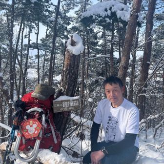 鐘撞森は倒木だらけでした