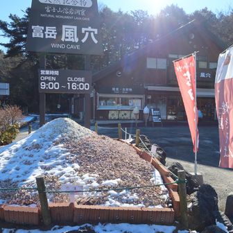 →さんぽ終了。