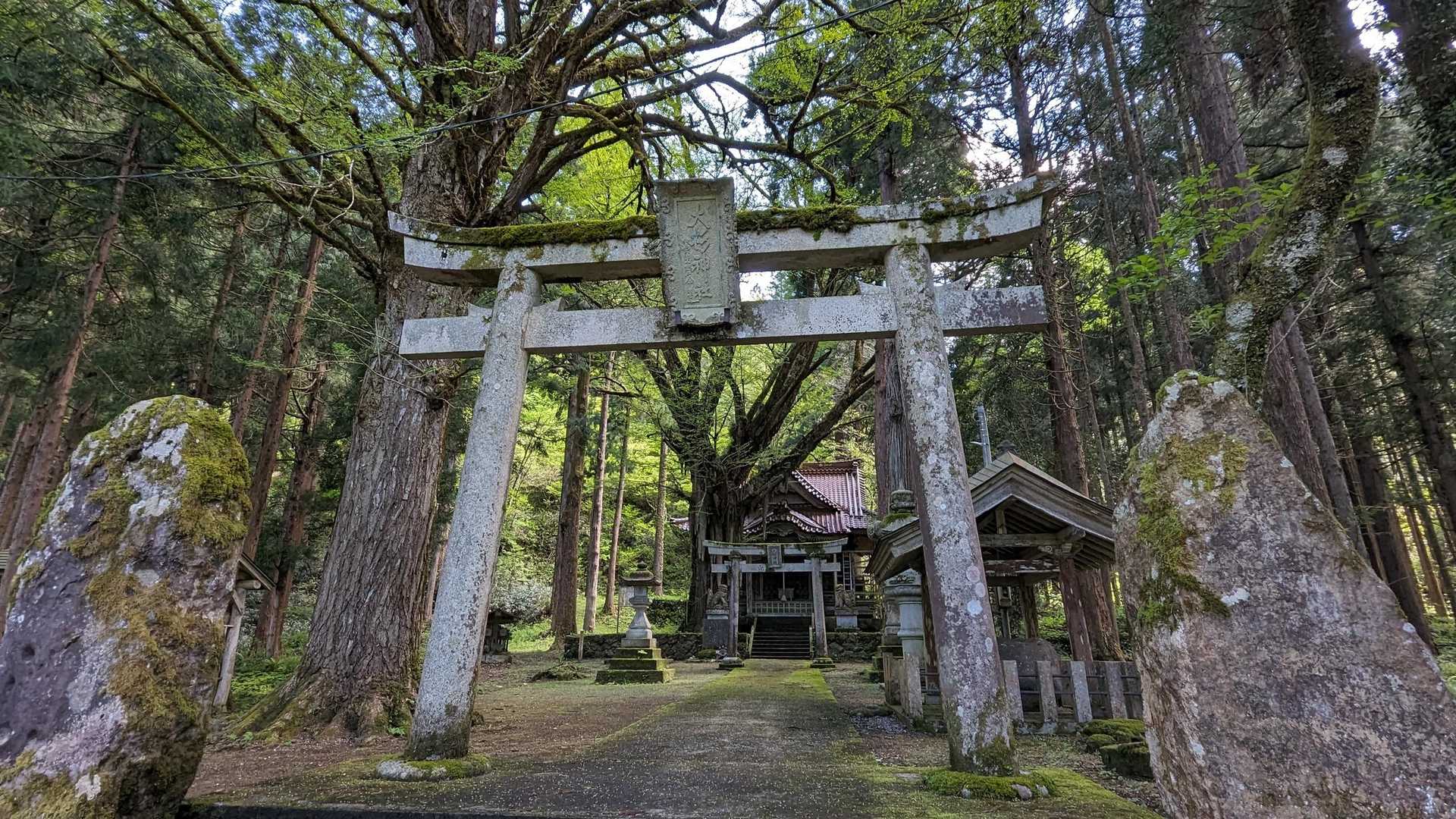 大杉神社